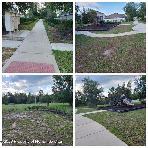 18353 Briar Oaks Drive, Hudson, FL 34667