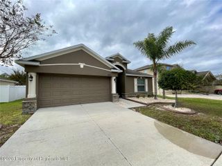 18353 Briar Oaks Drive, Hudson, FL 34667