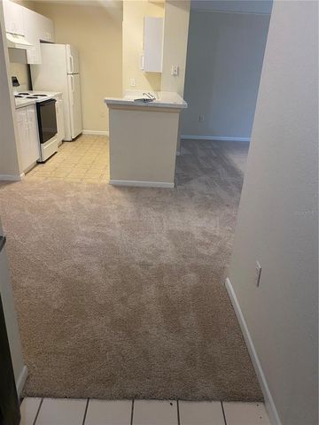 17106 CARRINGTON PARK DRIVE 607, Tampa, FL 33647