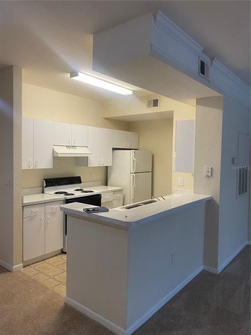 17106 CARRINGTON PARK DRIVE 607, Tampa, FL 33647