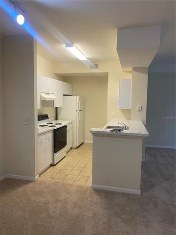 17106 CARRINGTON PARK DRIVE 607, Tampa, FL 33647