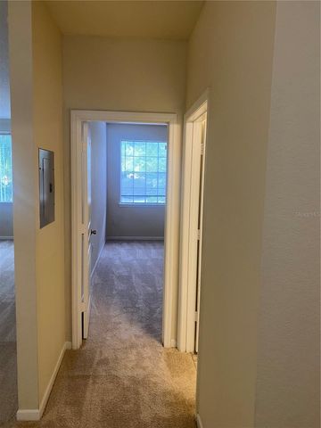 17106 CARRINGTON PARK DRIVE 607, Tampa, FL 33647