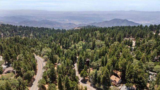 2170 Spring Oak, Running Springs, CA 92382