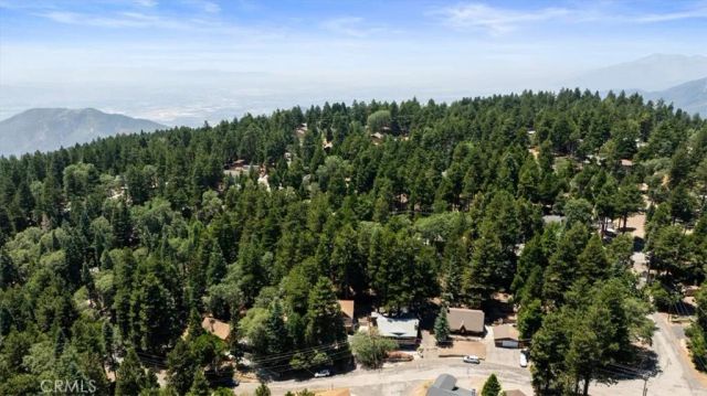 2170 Spring Oak, Running Springs, CA 92382