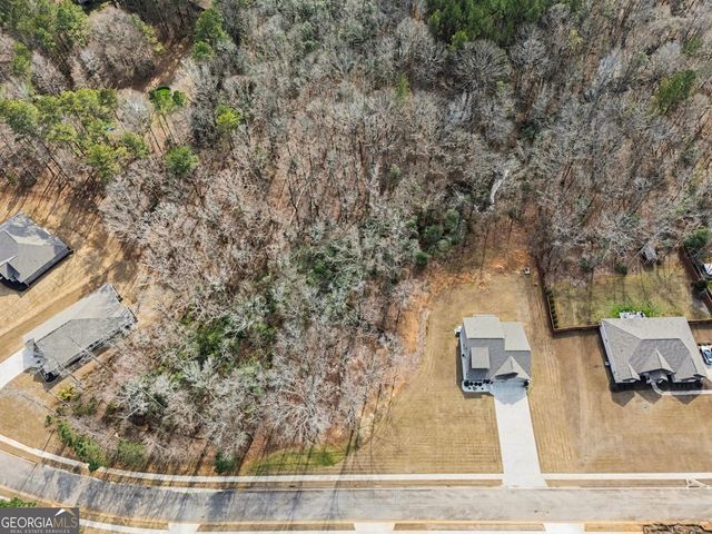 132 Whitworth Drive, Locust Grove, GA 30248
