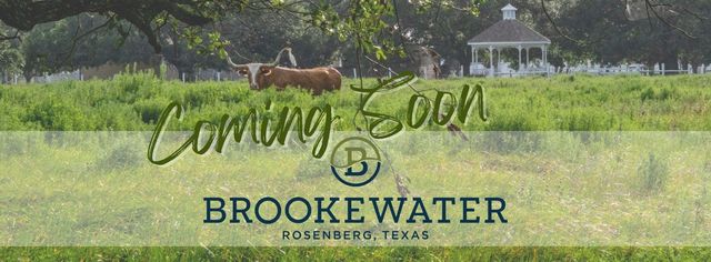 323 Big Pine Trail, Rosenberg, TX 77471