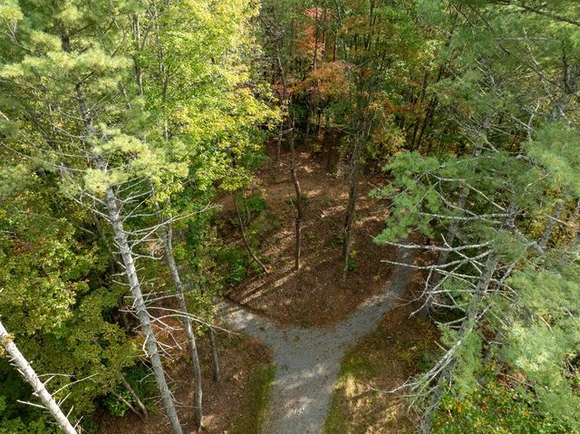 Lot 1 Chief Whitetails Road, Ellijay, GA 30540