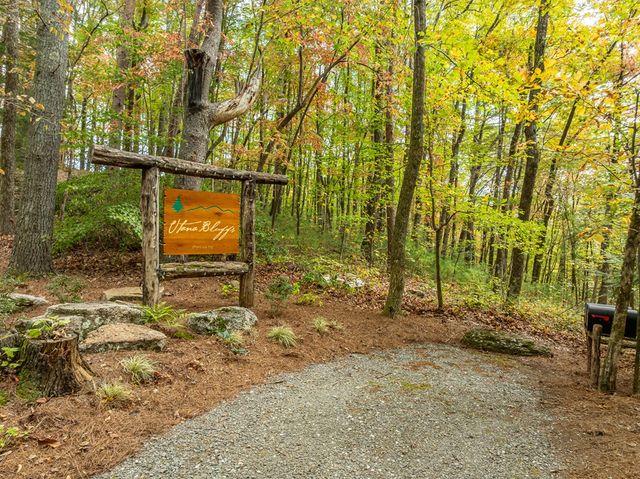 Lot 1 Chief Whitetails Road, Ellijay, GA 30540