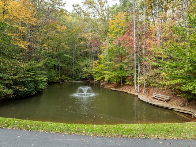 Lot 1 Chief Whitetails Road, Ellijay, GA 30540