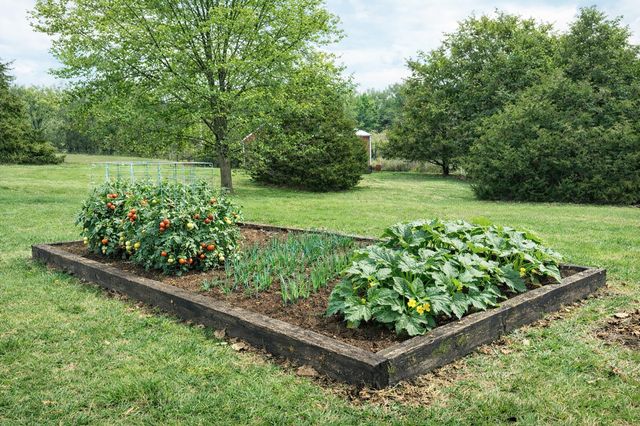 861 Country Meadows Road, Highlandville, MO 65669