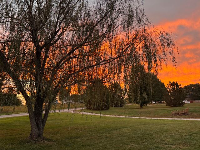 861 Country Meadows Road, Highlandville, MO 65669