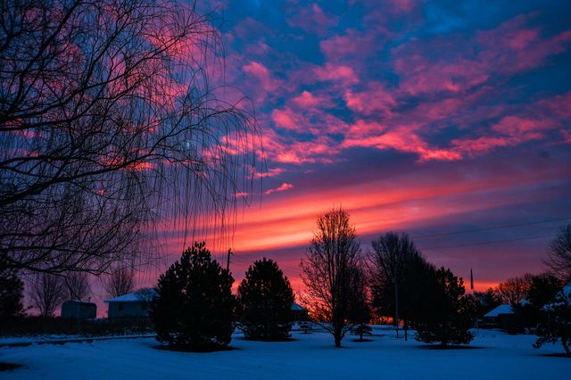 861 Country Meadows Road, Highlandville, MO 65669