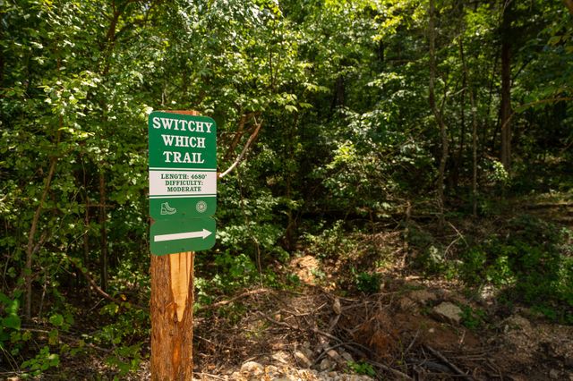 112 Backwoods Loop, Hollister, MO 65672