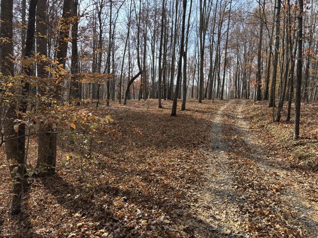 230 Market Ln, Gainesboro, TN 38562