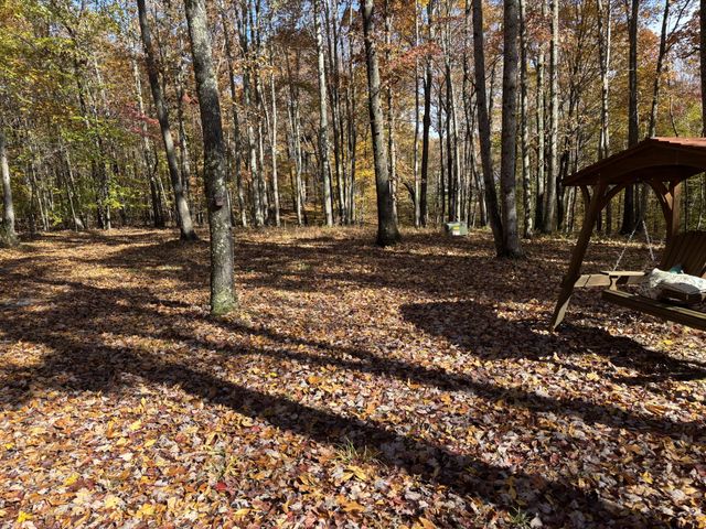 230 Market Ln, Gainesboro, TN 38562