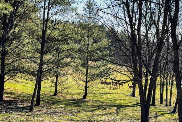 3265 Bergum Road, Mount Horeb, WI 53572