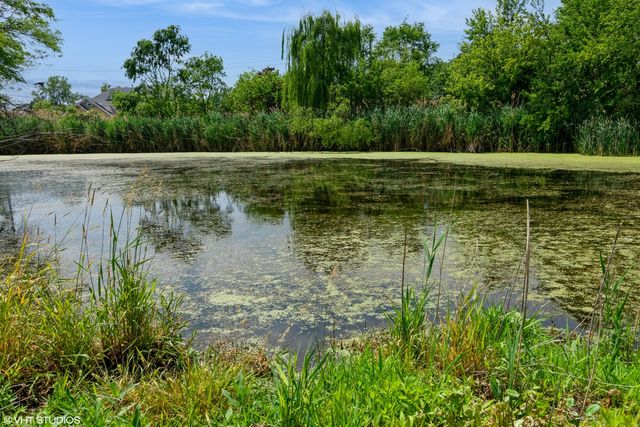 6 Normandee Court, Burr Ridge, IL 60527