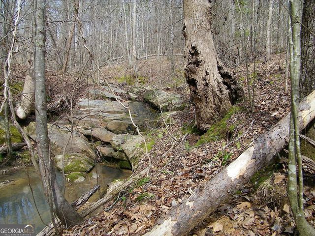 LOT 10 Blackberry Bend, Elberton, GA 30635