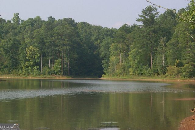 LOT 10 Blackberry Bend, Elberton, GA 30635