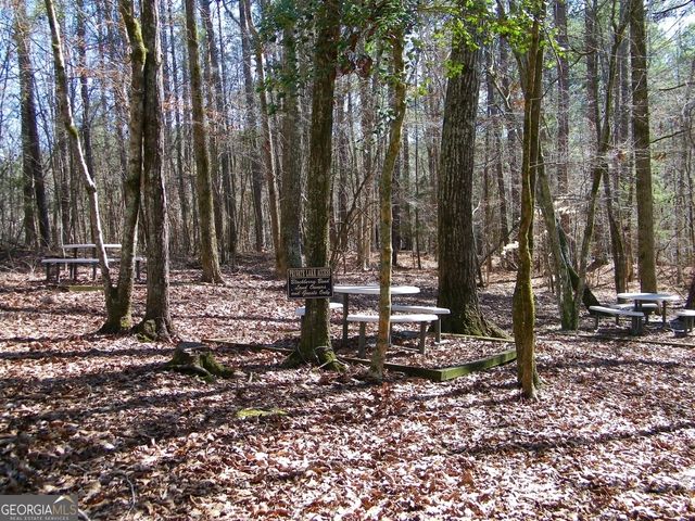 LOT 10 Blackberry Bend, Elberton, GA 30635