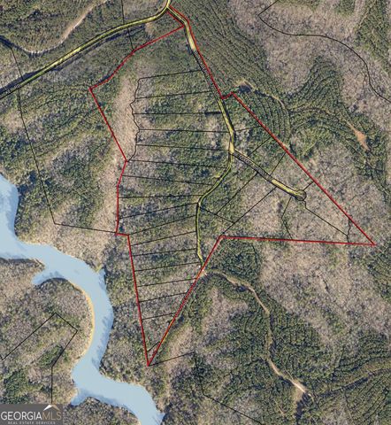 LOT 10 Blackberry Bend, Elberton, GA 30635