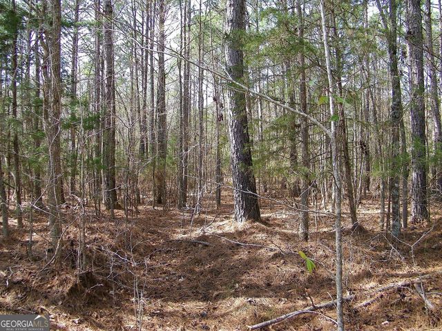 LOT 10 Blackberry Bend, Elberton, GA 30635