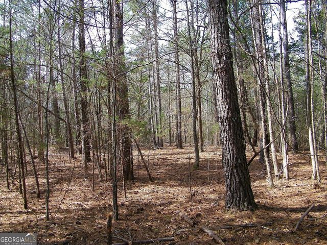 LOT 10 Blackberry Bend, Elberton, GA 30635