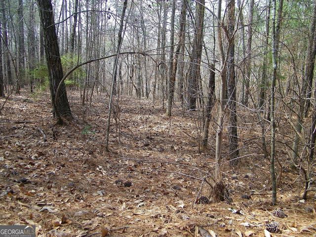 LOT 10 Blackberry Bend, Elberton, GA 30635