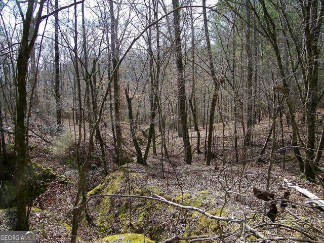 LOT 10 Blackberry Bend, Elberton, GA 30635