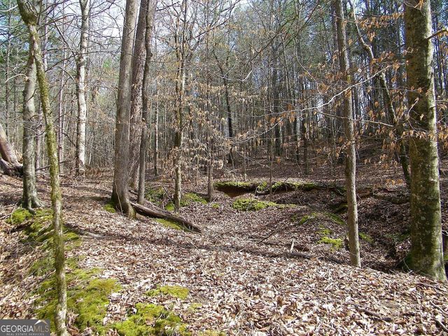 LOT 10 Blackberry Bend, Elberton, GA 30635