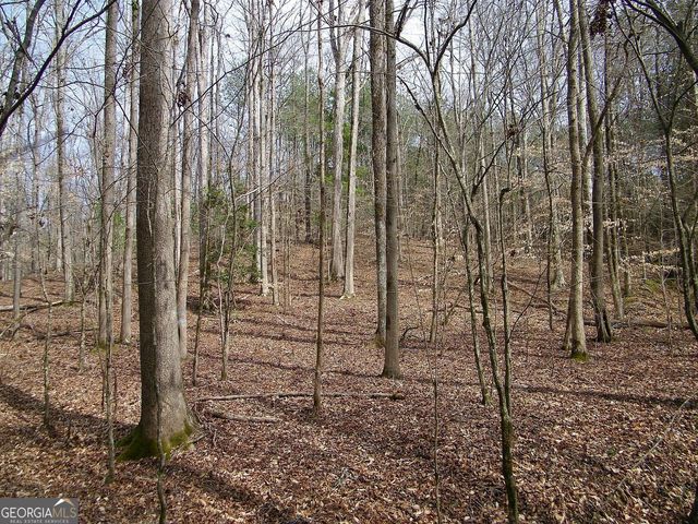 LOT 10 Blackberry Bend, Elberton, GA 30635