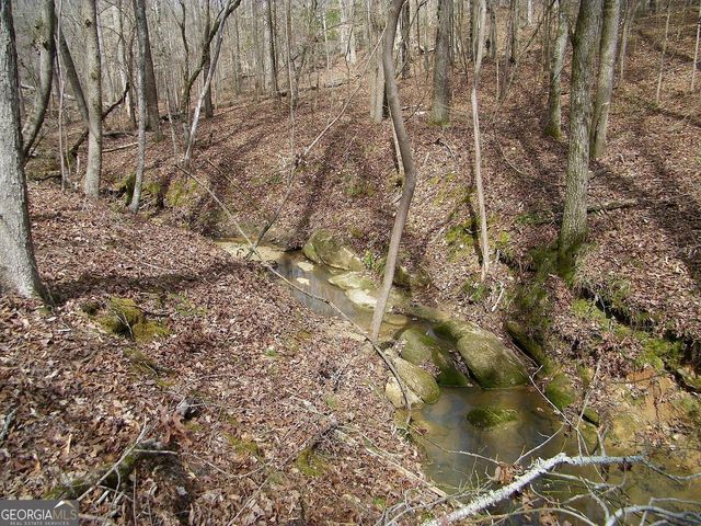 LOT 10 Blackberry Bend, Elberton, GA 30635