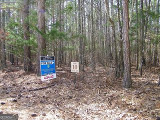 LOT 10 Blackberry Bend, Elberton, GA 30635