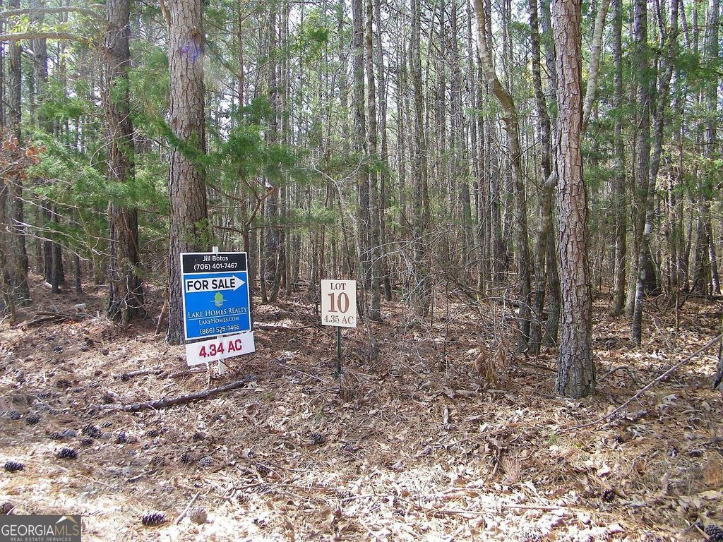 LOT 10 Blackberry Bend, Elberton, GA 30635