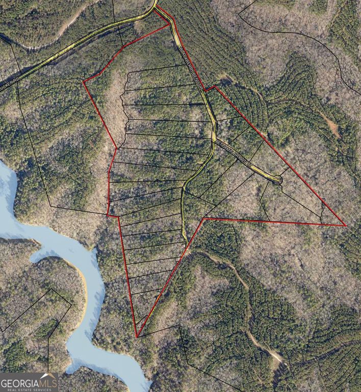 LOT 10 Blackberry Bend, Elberton, GA 30635 — photo 2