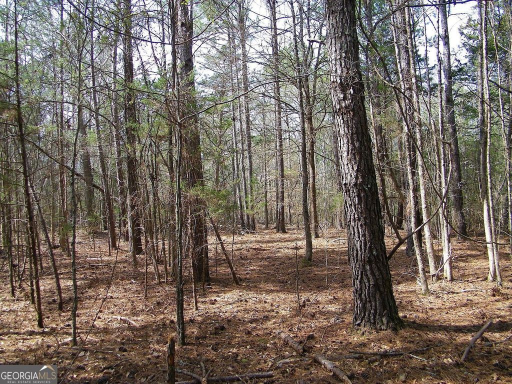 LOT 10 Blackberry Bend, Elberton, GA 30635 — photo 4