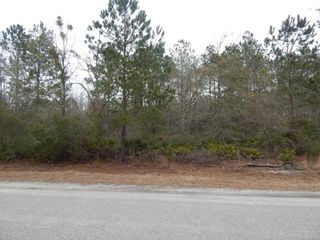 000 Louis Passmore Road, Ludowici, GA 31319