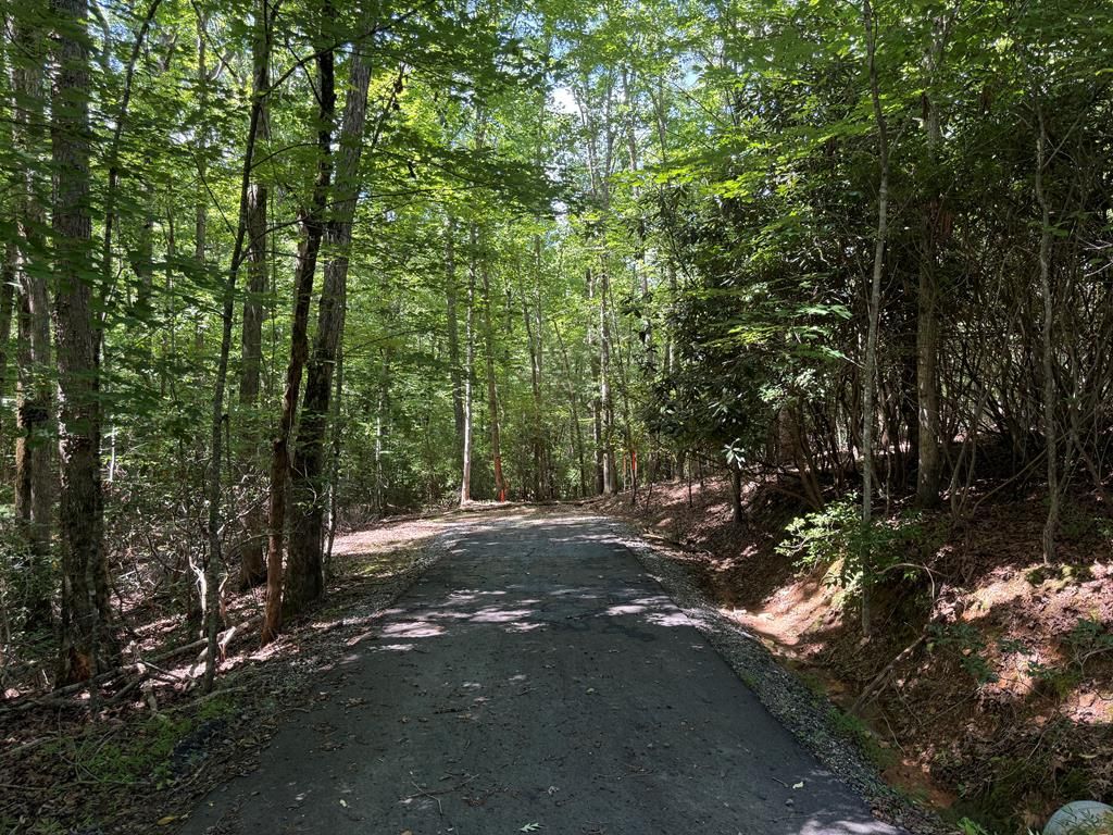 0 Panico Trail, Murphy, NC 28906