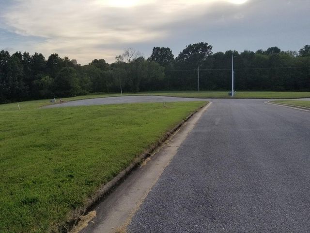 Lot 11 Fox Haven Drive, Mt Vernon, MO 65712