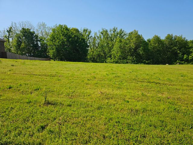 Lot 11 Fox Haven Drive, Mt Vernon, MO 65712