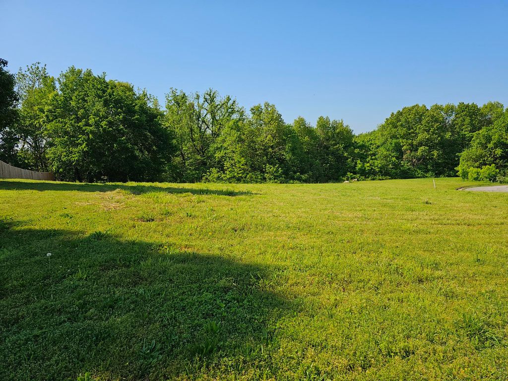 Lot 11 Fox Haven Drive, Mt Vernon, MO 65712