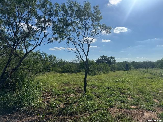 5349 Leal Road, Pleasanton, TX 78064