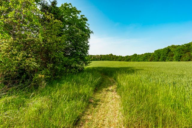 1667 Highway 259, Portland, TN 37148