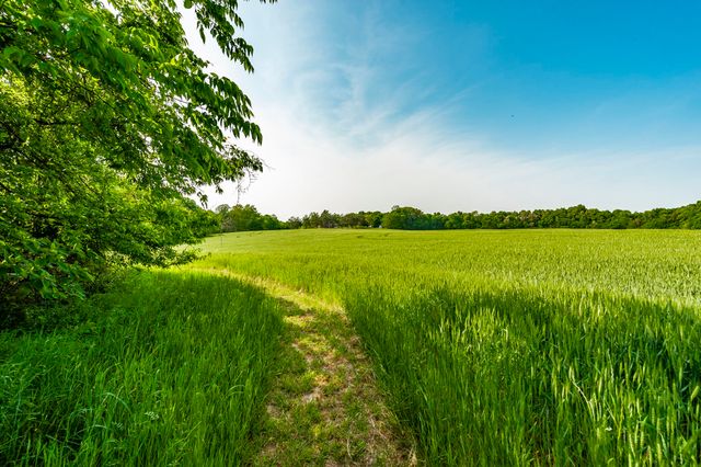 1667 Highway 259, Portland, TN 37148