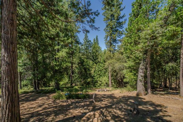 19130 Ponderosa Way, Volcano, CA 95689