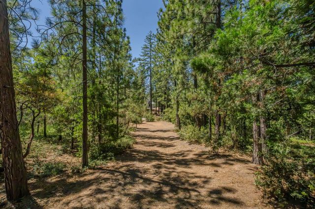 19130 Ponderosa Way, Volcano, CA 95689