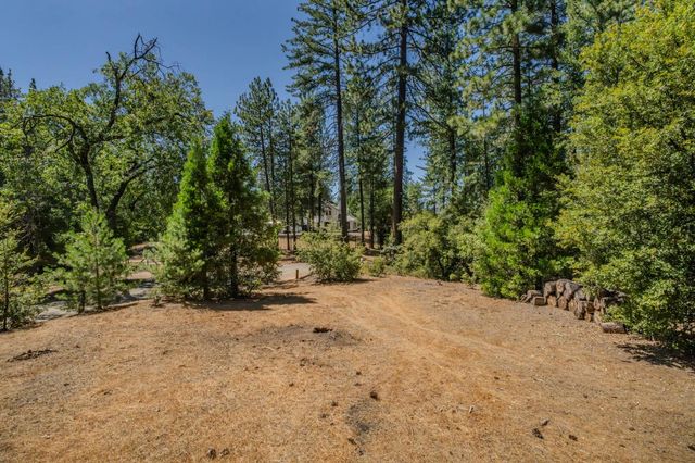 19130 Ponderosa Way, Volcano, CA 95689
