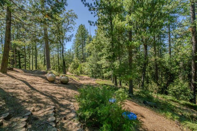19130 Ponderosa Way, Volcano, CA 95689