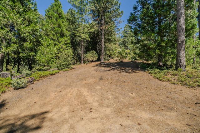 19130 Ponderosa Way, Volcano, CA 95689