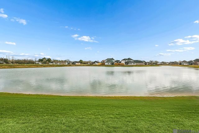37304 Cattle Ave, Prairieville, LA 70769
